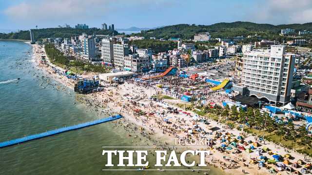 충남 보령시 대천해수욕장 전경. / 보령시