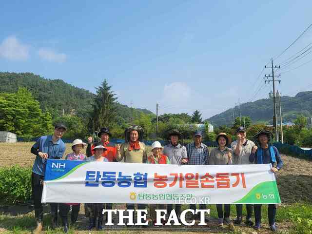 4일 대전 탄동농협이 유성구 안산동 조합원 농가에서 일손돕기를 한 후 기념촬영을 하고 있다. /대전농협