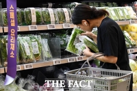  장마철 채소 가격 폭등...'상추 17%·시금치 30%' [TF사진관]