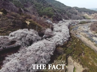  하동군, 축제의 정형화된 틀 벗어난 새로운 시도 '호평'