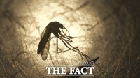  '앵앵앵' 여름철 불청객 모기…말라리아 매개 모기 급증한 이유는?