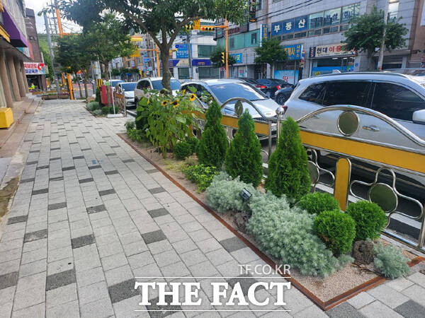 전나 광양시가 광영초등학교 통학로 주변에 자녀안심 그린숲 조성을 완료했다./광양시