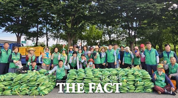 아산시새마을 회원들이 옥수수 수확에 참여한 후 기념사진을 찍고 있다. /아산시