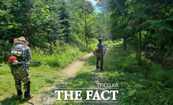 남원시가 여름철에 대비해 주요 등산로 노선의 풀베기 정비사업을 추진한다. /남원시