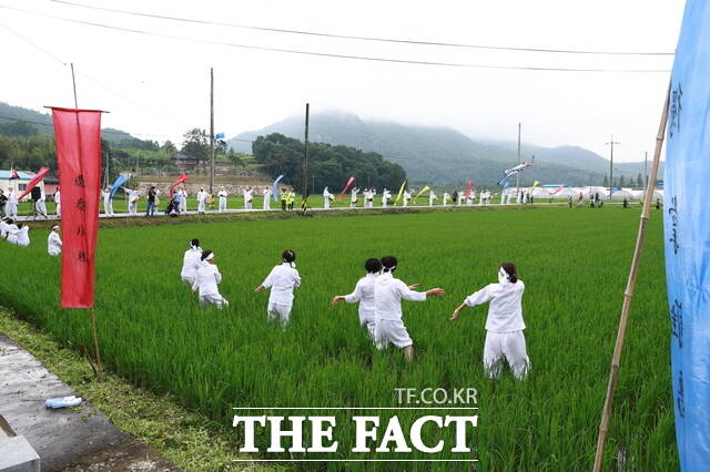 지난 20일 전남 무형유산 제54호로 지정된 화순 우봉들소리 공연이 펼쳐져 많은 사람들로부터 찬사를 받았다. 사진은 우봉마을 농악대가 김매기를 하고 있는 공연자 앞을 지나고 있다 / 화순군