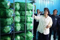  장마 후 폭염…농식품부, 배추·무 생육상황 긴급 점검