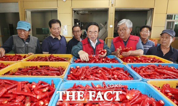 심민 임실군수(가운데)가 수매한 홍고추를 살펴보고 있다. /임실군