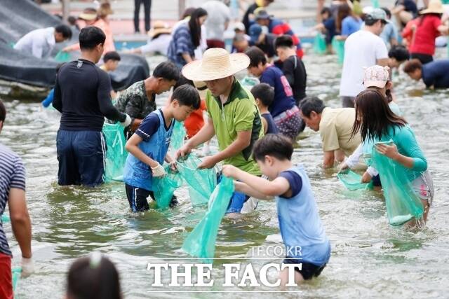 보성군은 ‘5년의 기다림! 반갑다 전어야! 친구야 보성가자!’라는 슬로건으로 오는 16~17일 율포솔밭해수욕장 일원에서 ‘제16회 보성전어축제’를 개최한다고 6일 밝혔다. 지난 2017년 전어잡기 체험 모습./보성군