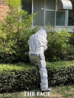  천안서북소방서, 벌 쏘임 사고 주의 당부