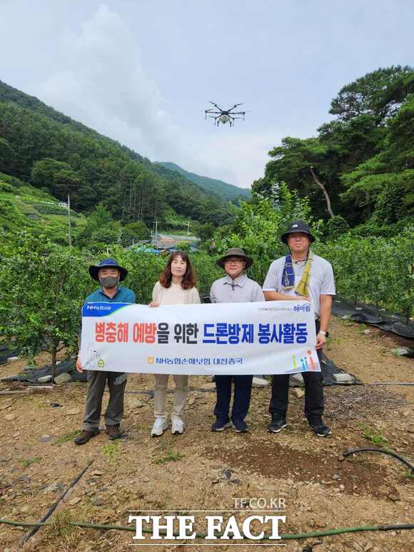 지난 8일 NH농협손해보험 대전총국과 농협 대전노조가 드론을 활용한 병해충 방제 사회공헌활동을 하고 있다. /대전농협