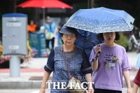  밤낮없는 폭염 '양산은 선택 아닌 필수' [TF사진관]