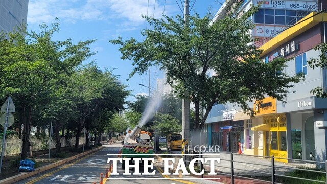 서산시 방제 차량이 미국흰불나방 방제를 위해 도심 가로수에 약제를 살포하고 있는 모습. / 서산시