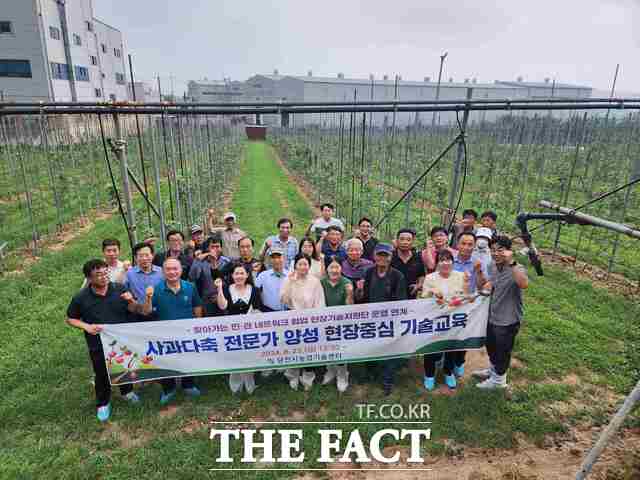 23일 당진시 미래형 사과 다축과원 현장 컨설팅 장면. /당진시