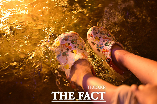 기상청에 따르면 9일 전국 183개 기상특보 구역의 80%인 148곳에 폭염특보가 발령됐다. /남윤호 기자