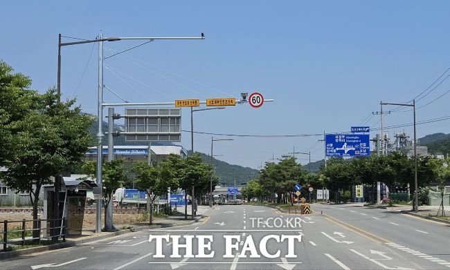 남양주시가 최근 관내 한 도로에 설치한 후면 무인단속 카메라의 모습./남양주시