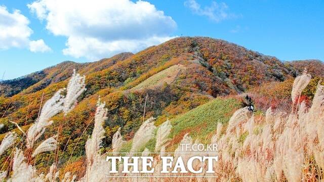 장수 장안산. /전북도