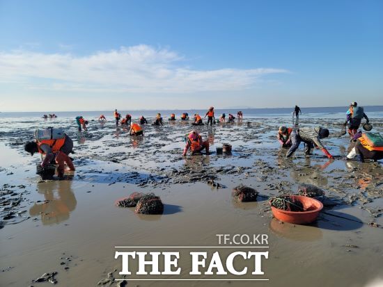 경기도해양수산자원연구소는 해양수산부 주관 ‘2024년 자율관리어업 공동체 평가’에서 안산시 ‘흘곶 자율관리어업 공동체’가 전국 2위 우수공동체로 선정됐다고 18일 밝혔다./경기도