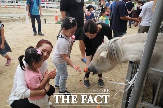 완주군은 오는 10월 4일부터 6일까지 고산자연휴양림에서 열린 축제에는 부대행사로 ‘완주 말(馬)문화 행사’를 개최한다. /완주군