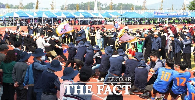 제15회 태안군민체육대회 줄다리기 시합 장면. / 태안군.