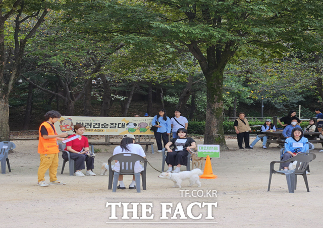 동네 구석구석을 살피며 주민 안전을 지키는 서울 반려견 순찰대가 올 하반기 추가선발을 통해 1704팀으로 확대된다. 순찰대 추가 선발 모습. /서울시