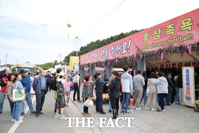 지난해 ‘엄마, 행복하세요!’를 주제로 개최된 41회 금산세계인삼축제 현장. /금산군