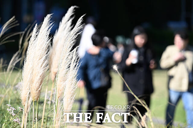 한글날이자 휴일인 수요일 9일은 전국이 가끔 구름 많은 가운데 제주도는 대체로 흐릴 전망이다. /박헌우 기자