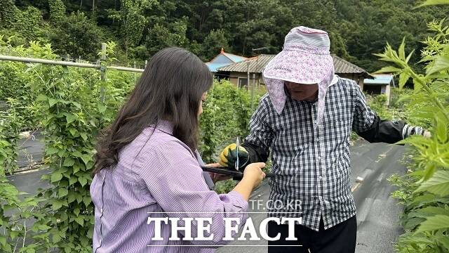 전북도가 ‘농식품 도농상생형 플러스 일자리사업’으로 4만 8000명의 농촌인력을 알선하는 성과를 거뒀다. /전북자치도