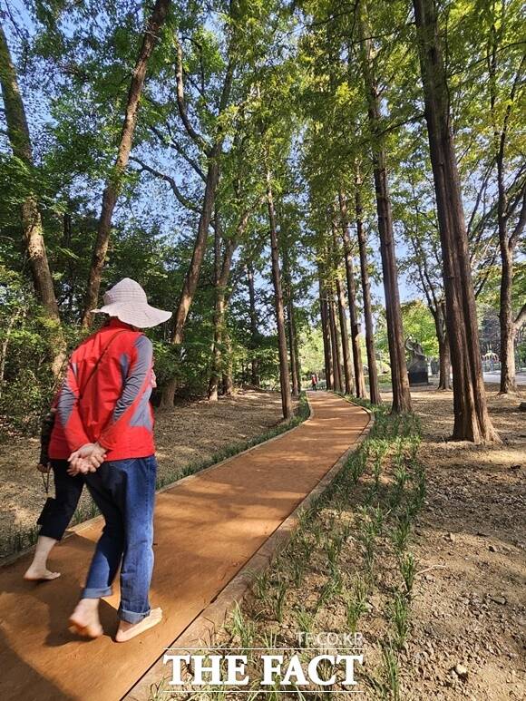 서초구는 양재동 문화예술공원에 황톳길과 황토체험장을 개장했다. /서초구