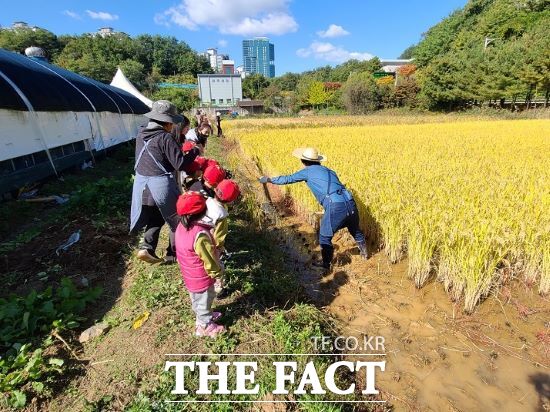 경기도와 경기도농수산진흥원은 오는 24~26일 용인시 기흥구 영덕동 도민텃밭에서 가을잔치를 연다고 밝혔다./경기도