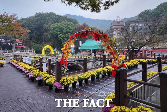 ‘계룡산 국화길 여행’이 오는 28일 충남 공주시 계룡산 학봉리 무풍공원 일원에서 열린다. /공주시