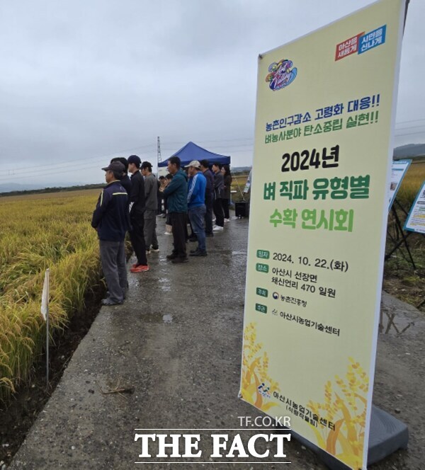 벼 직파 유형별 수확 연시회 현장 사진. /아산시