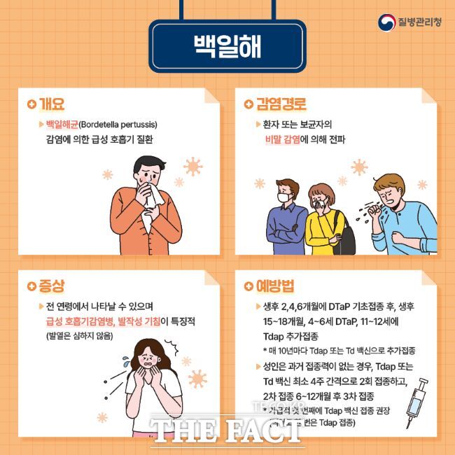 백일해 예방수칙 안내문./질병관리청