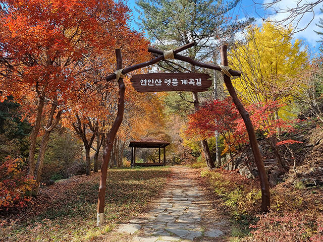 가평 연인산 명품 계곡길은 계곡과 산림, 사람과의 조화가 이루어진 아름다운 계곡길로 선녀들이 내려와 쉬어갔다는 선녀탕, 화전민터, 숯가마터, 기암괴석 등 역사·문화적, 경관적 가치가 매우 높은 숲길이다./산림청