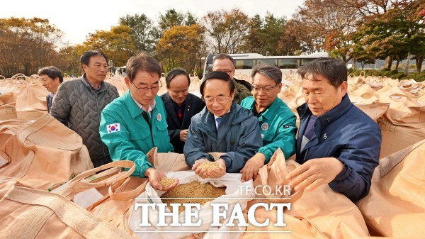 임실군이 2024년산 공공비축미 건조벼 매입을 11일 5일부터 20일까지 실시하는 가운데 심민 군수가 5일 임실 농협창고와 사선대 주차장에서 열린 매입 현장을 방문해 건조벼를 만져보고 있다. /임실군