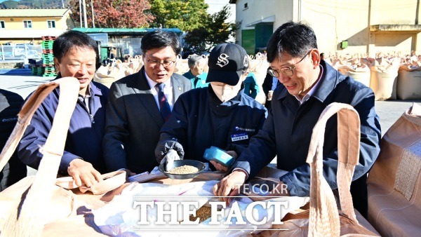 최훈식 장수군수(맨 오른쪽)가 2024년산 공공비축미 건조벼 매입 현장을 직접 찾아가 건조벼를 살펴보고 있다. /장수군