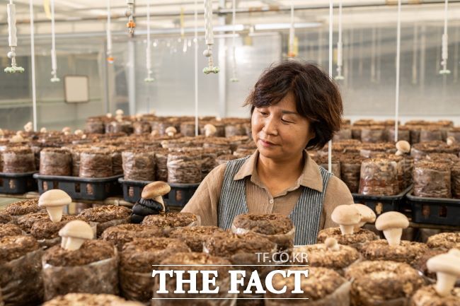 제31회 경기도 농어민 대상 특용작물 부문 수상자 유순이 씨./시흥시