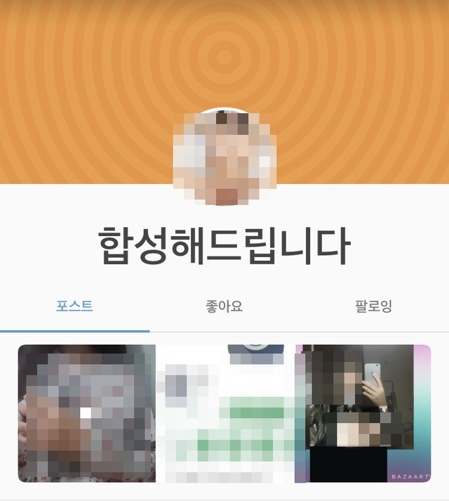 일반인을 대상으로 딥페이크 사진을 제작하는 블로그. /텀플러 캡처