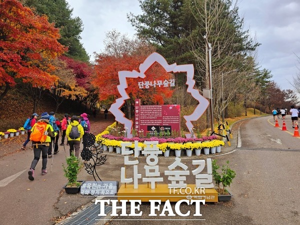 등산객들이 독립기념관 단풍나무 숲길 시작을 알리는 단풍나무 숲길 표지판을 지나고 있다. /박월복 기자