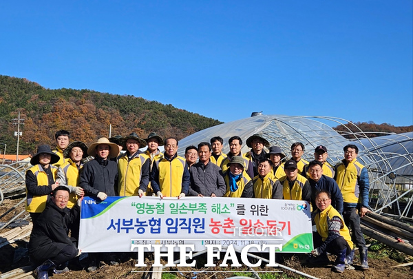 대전 서부농협(조합장 임헌성)이 18일 대전 서구 용촌동의 오이 농가를 방문해 수해복구 비닐하우스 해체 봉사활동을 펼쳤다./농협대전본부