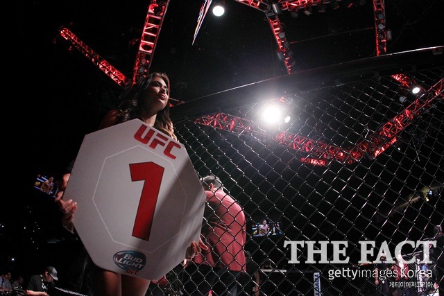 UFC 승부 조작 발생! 2015년 서울에서 열린 대회에서 UFC 승부조작 정황이 포착되어 경찰이 조사에 착수했다. 사진은 기사 내용과 무관. /게티이미지