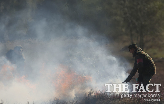 유럽에서 계속되는 폭염에 화재와 산불이 이어지고 있다. /게티이미지