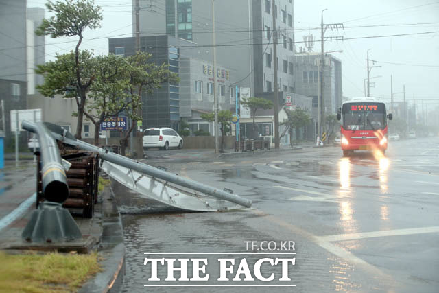 태풍 솔릭이 한반도에 23일 상륙한 가운데 서울·경기 수도권 관계 당국은 제주 피해 상황을 교훈삼아 만반의 경계 태세를 갖추고 있다. 사진은 제주도 피해상황 모습./ 제주=뉴시스