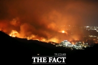  靑, 강원 대형 산불 사태에 