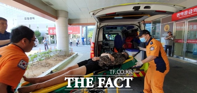 사진은 지난 2일 충북 보은군 회인면 야산에서 구조된 조은누리(14) 양이 오후 5시께 충북대학교병원 응급실로 이송되고 있는 모습. /뉴시스