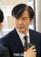  [TF초점] 청문회 전 '무더기 고발'…조국 처벌 가능성은