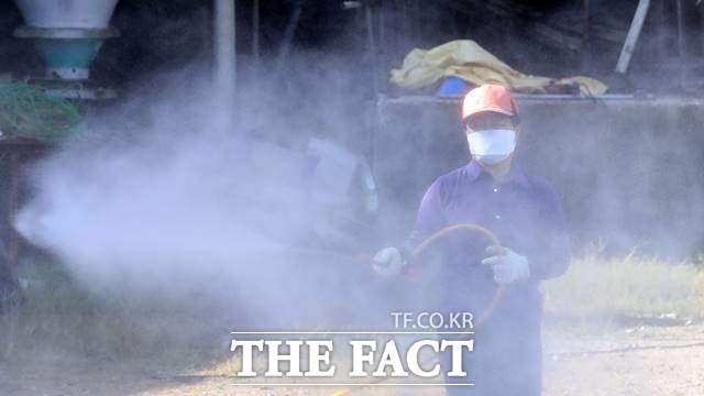 파주에 이어 연천 돼지농장에서도 아프리카돼지열병 확진 판정이 내려진 18일 경기 포천시 일동면의 한 돼지농장에서 농장주가 자체 방역작업을 실시하고 있다. /뉴시스