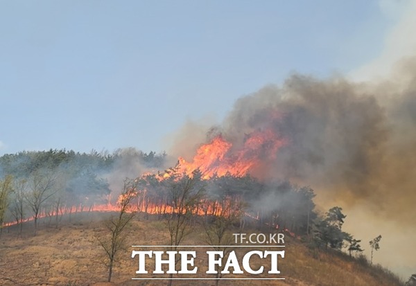 지난 24일 오후 안동에서 발생했던 산불이 25일 오후 2시경 재확산됐다. 투입된 1700명의 인력은 산불현장에서 진화에 사투를 벌이고 있다. /뉴시스