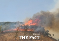  안동 산불 강풍에 재확산…인력 1700명 진화에 '사투' 
