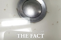  서울도 '수돗물 유충' 발견 신고…'인천과 같은 벌레인지 조사중'