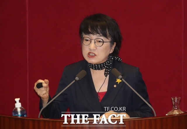 김진애 열린민주당 의원은 부동산 후속 법안에 대해 세금만 열심히 내시라며 찬성 논리를 폈다. /뉴시스